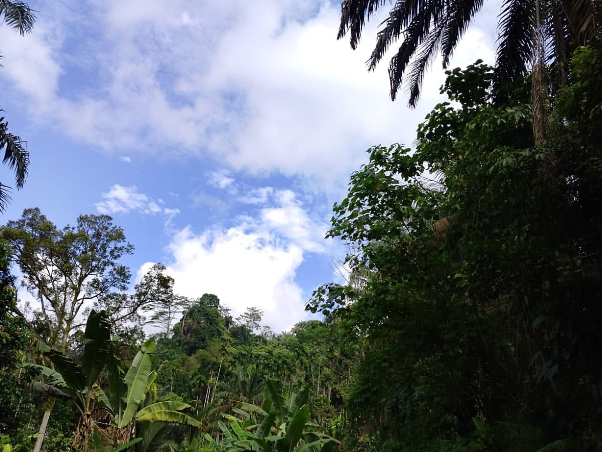 IMG-20250816-WA0016