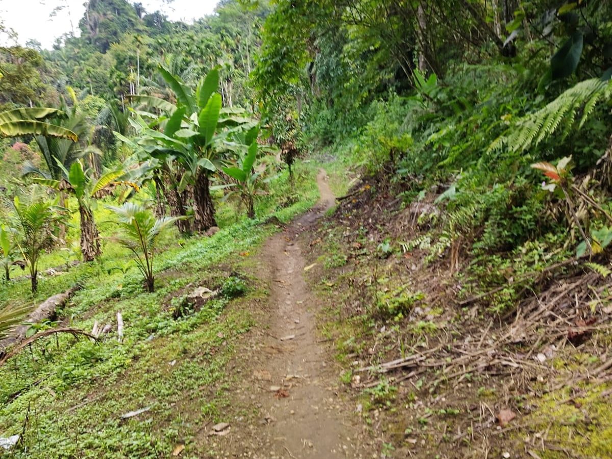 IMG-20250816-WA0018