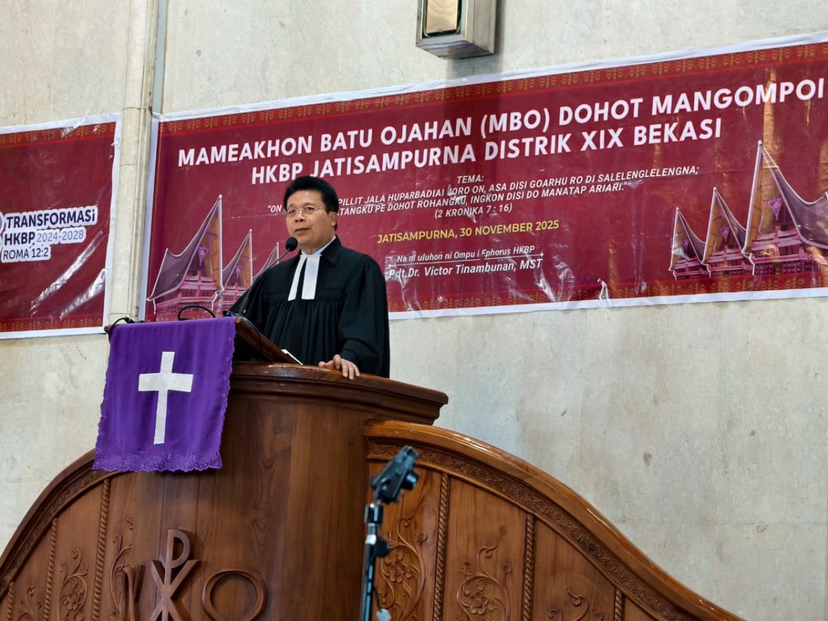 WhatsApp Image 2025-12-01 at 15.28.50