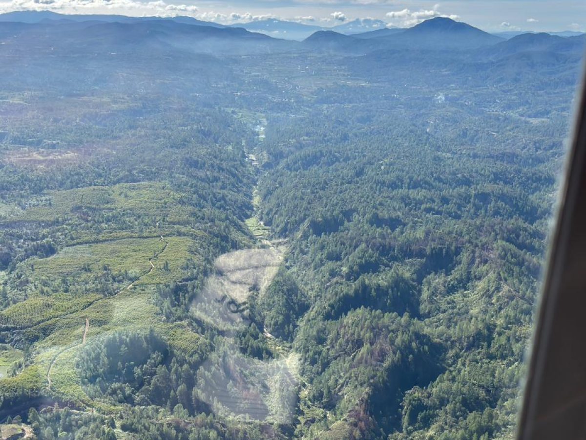 WhatsApp Image 2025-12-03 at 17.25.37