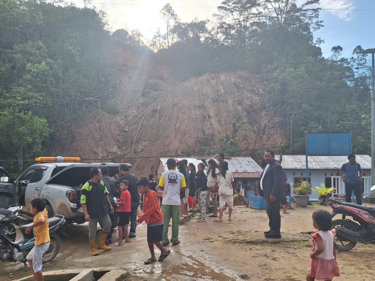 WhatsApp Image 2025-12-10 at 20.34.45