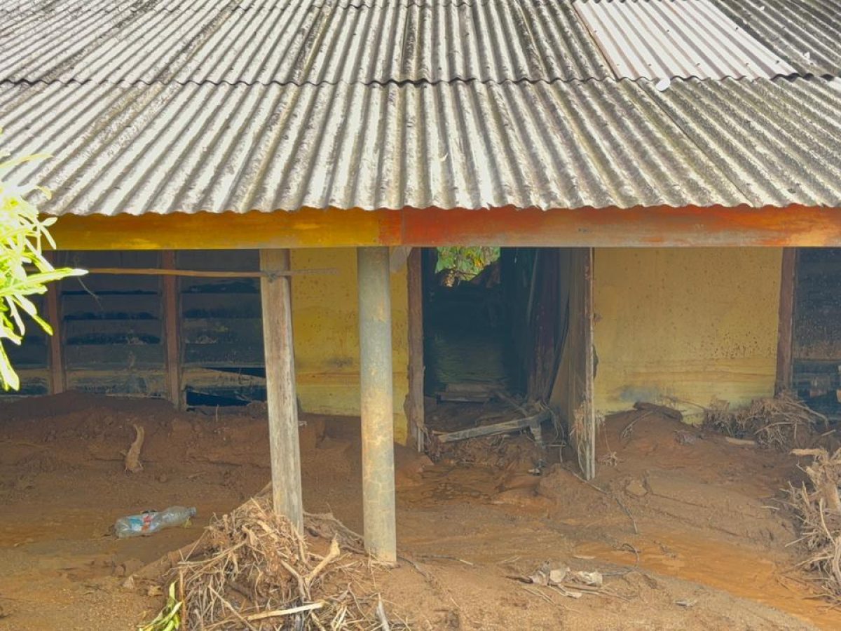 WhatsApp Image 2025-12-16 at 09.45.11