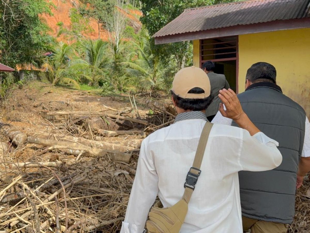 WhatsApp Image 2025-12-16 at 09.45.16