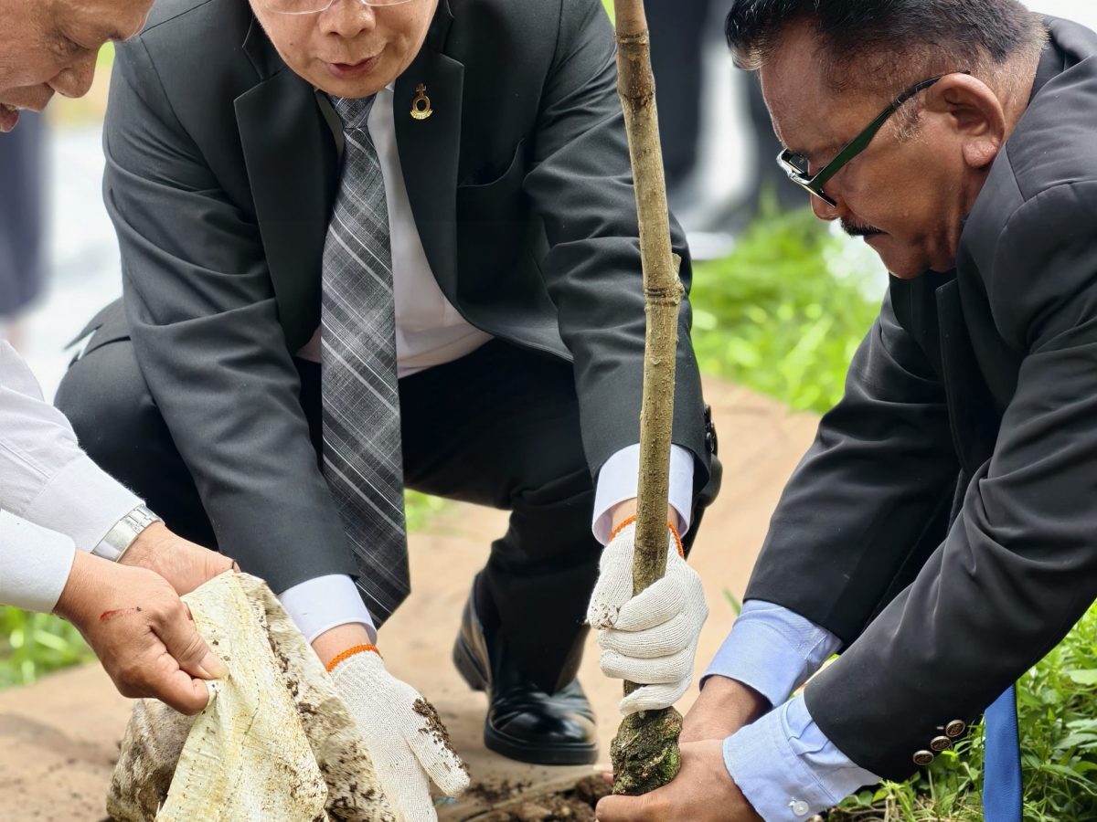 WhatsApp Image 2025-12-23 at 19.43.21 (1)