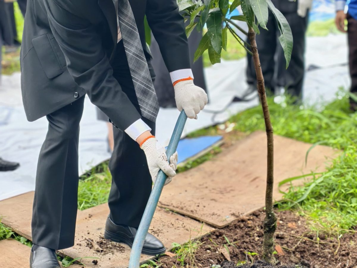 WhatsApp Image 2025-12-23 at 19.43.23